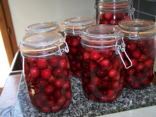 Kışlık Vişne Kompostosu Tarifi ve Malzemeleri Kışlık Vişne Kompostosu Tarifi ve Malzemeleri